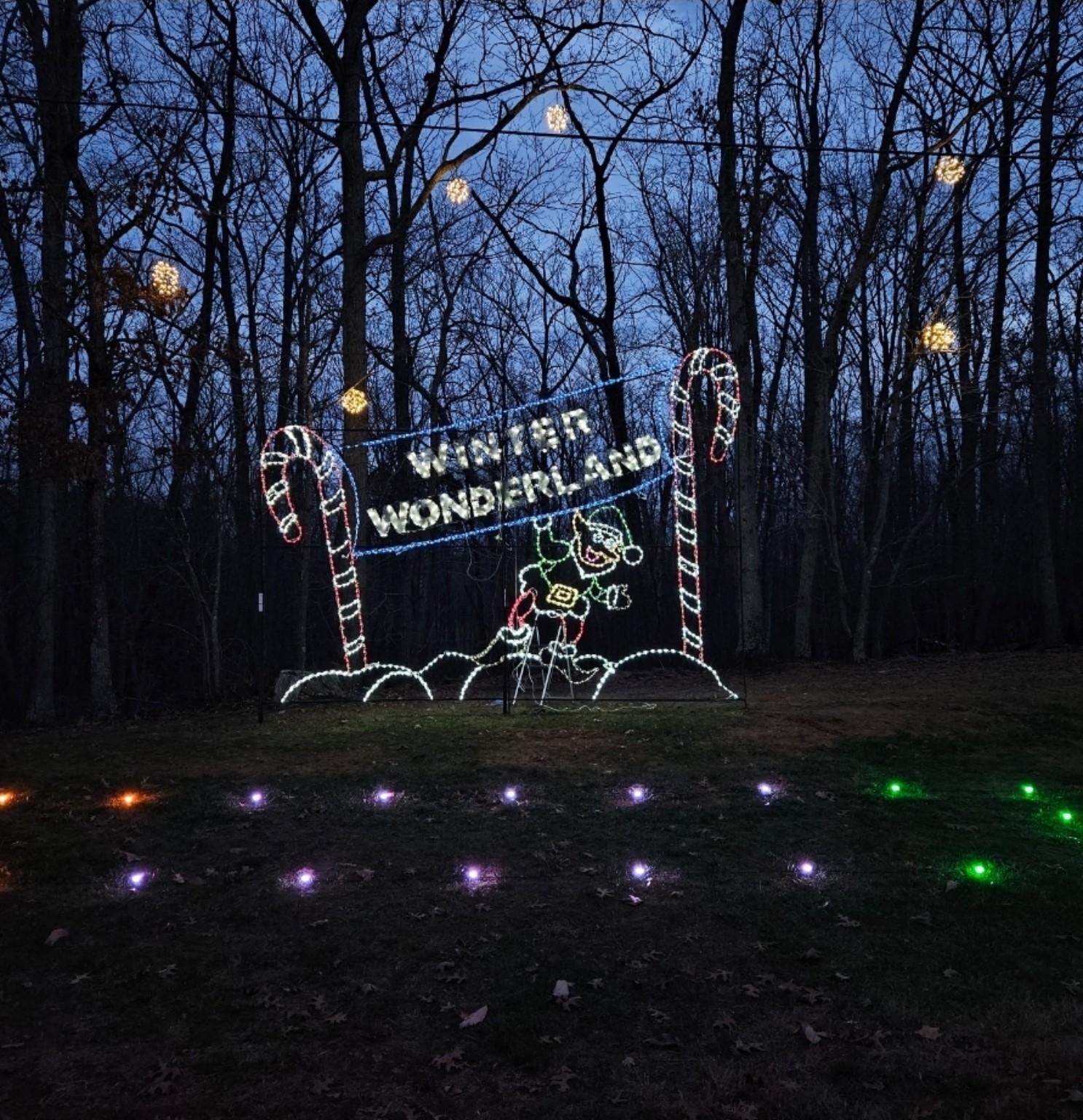 Winter Wonderland light display